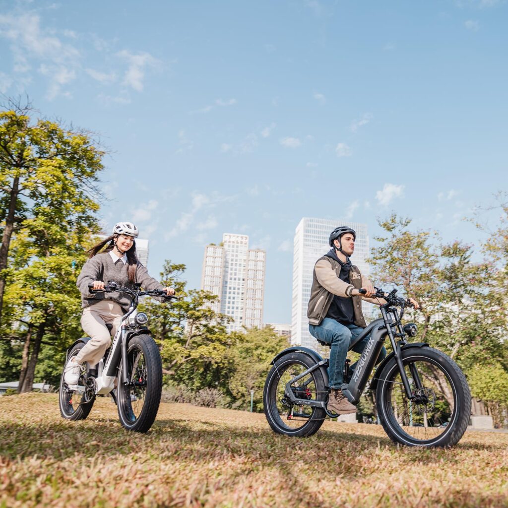 Electric Bikes 